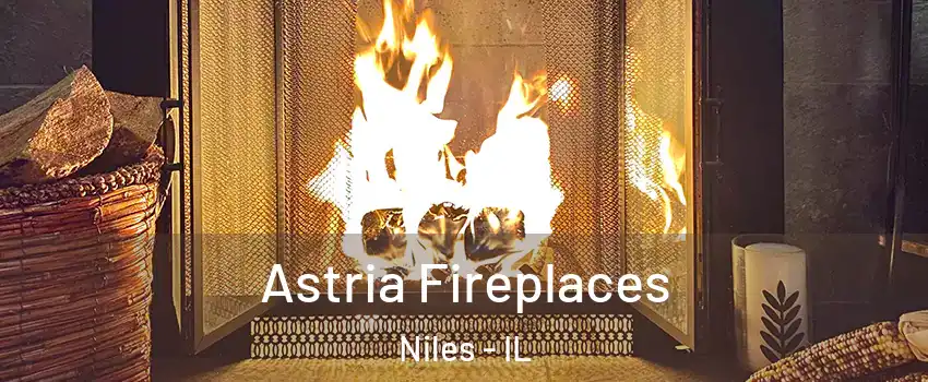  Astria Fireplaces Niles - IL
