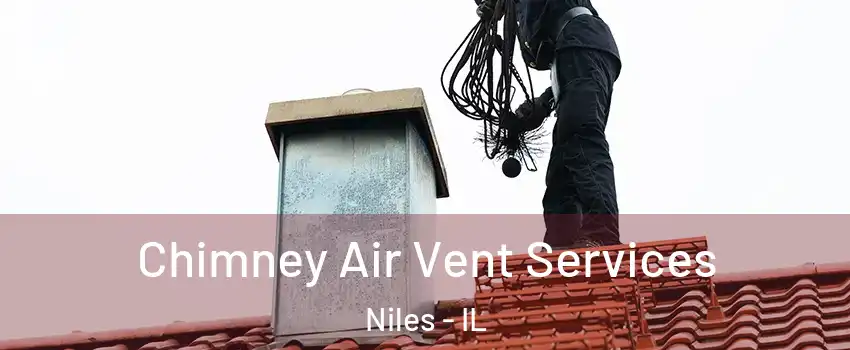  Chimney Air Vent Services Niles - IL