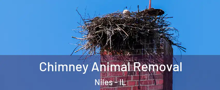  Chimney Animal Removal Niles - IL
