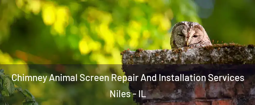  Chimney Animal Screen Repair And Installation Services Niles - IL