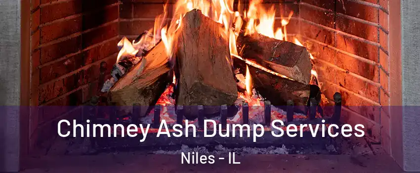  Chimney Ash Dump Services Niles - IL