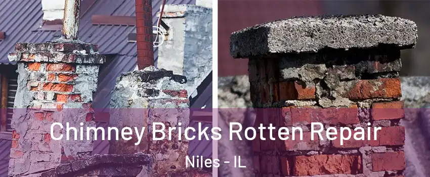  Chimney Bricks Rotten Repair Niles - IL
