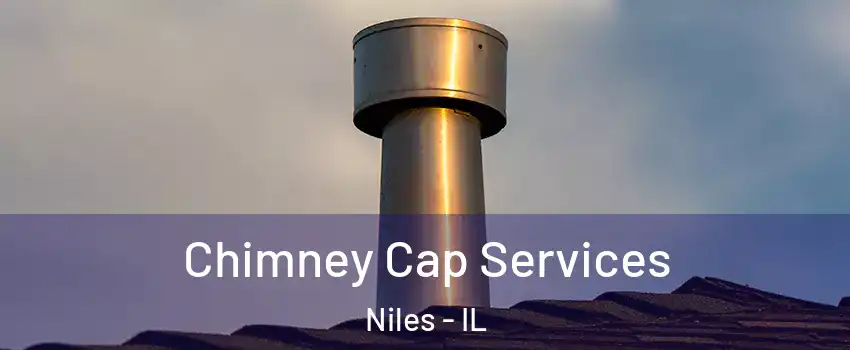  Chimney Cap Services Niles - IL