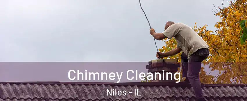 Chimney Cleaning Niles - IL