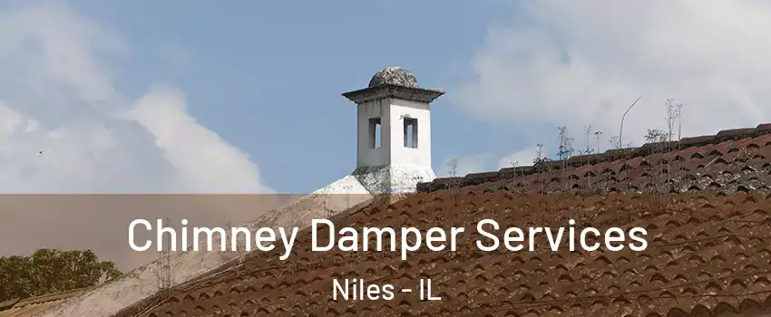  Chimney Damper Services Niles - IL