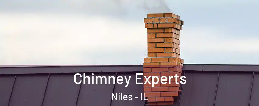  Chimney Experts Niles - IL