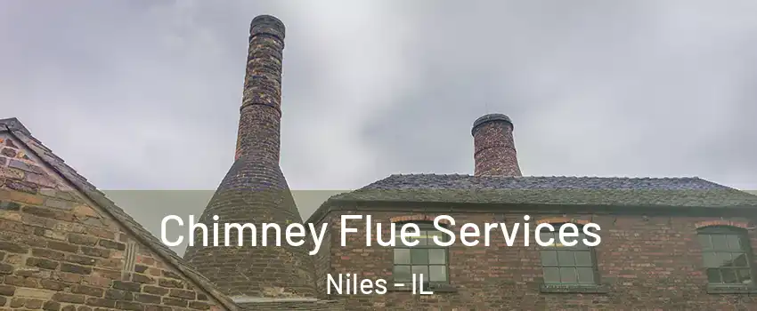  Chimney Flue Services Niles - IL