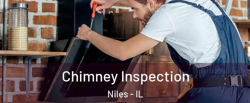  Chimney Inspection Niles - IL