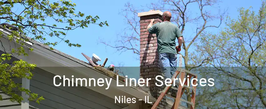  Chimney Liner Services Niles - IL