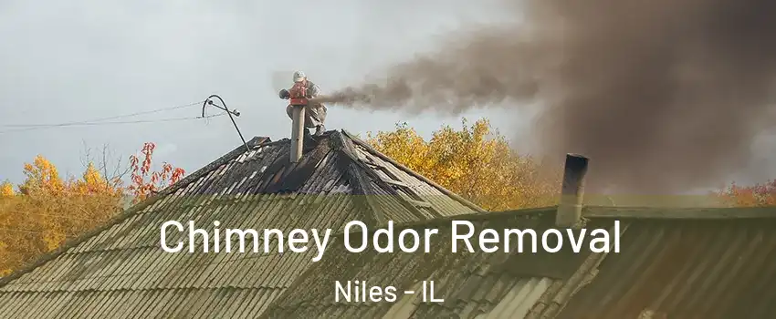  Chimney Odor Removal Niles - IL