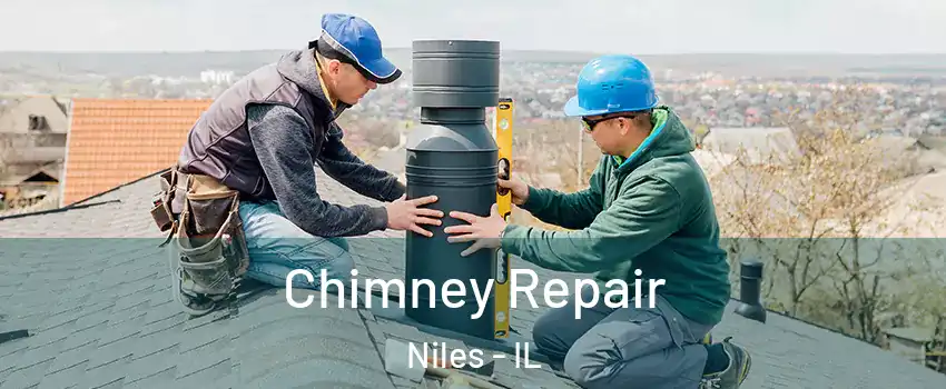  Chimney Repair Niles - IL