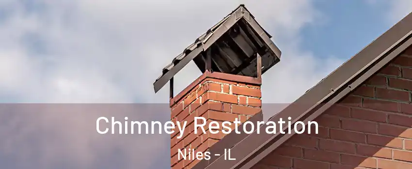  Chimney Restoration Niles - IL