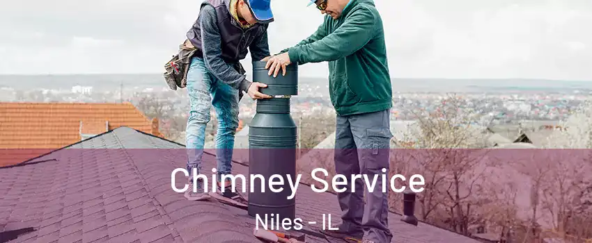  Chimney Service Niles - IL