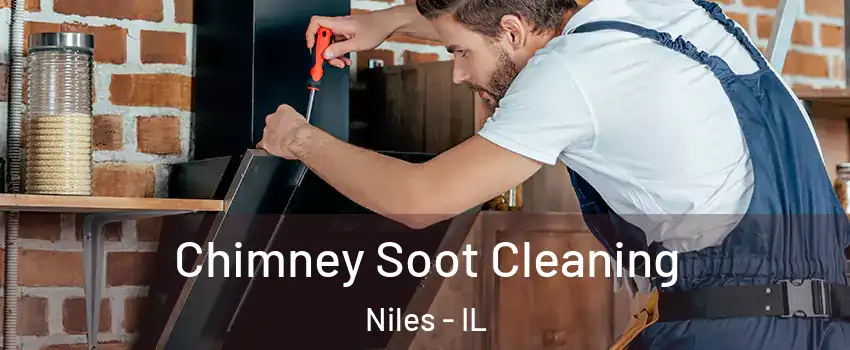  Chimney Soot Cleaning Niles - IL