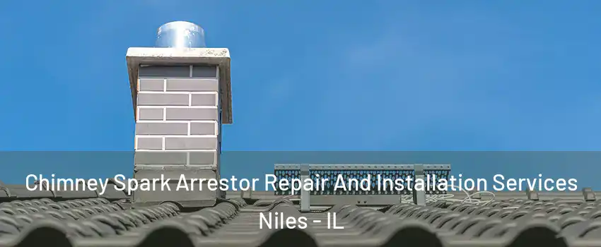  Chimney Spark Arrestor Repair And Installation Services Niles - IL