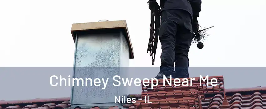  Chimney Sweep Near Me Niles - IL