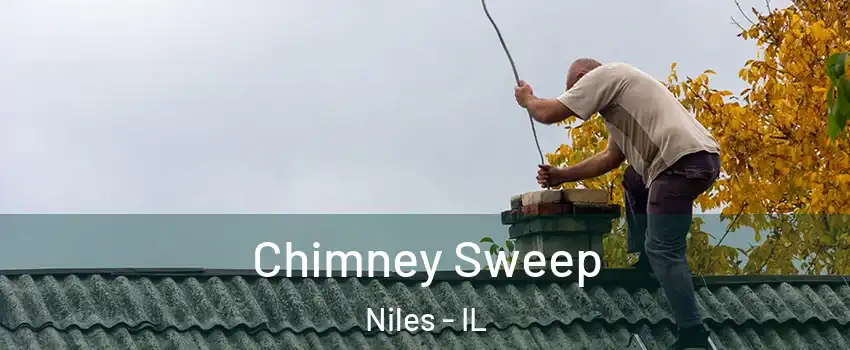  Chimney Sweep Niles - IL