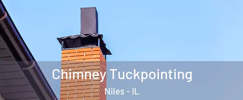  Chimney Tuckpointing Niles - IL