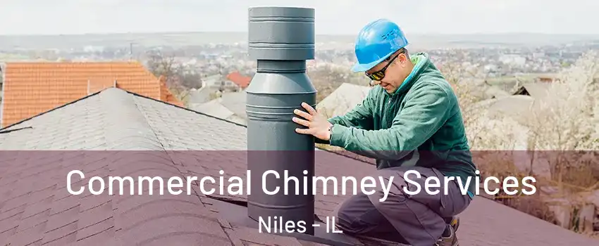  Commercial Chimney Services Niles - IL