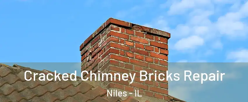  Cracked Chimney Bricks Repair Niles - IL