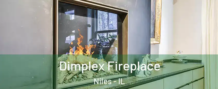  Dimplex Fireplace Niles - IL