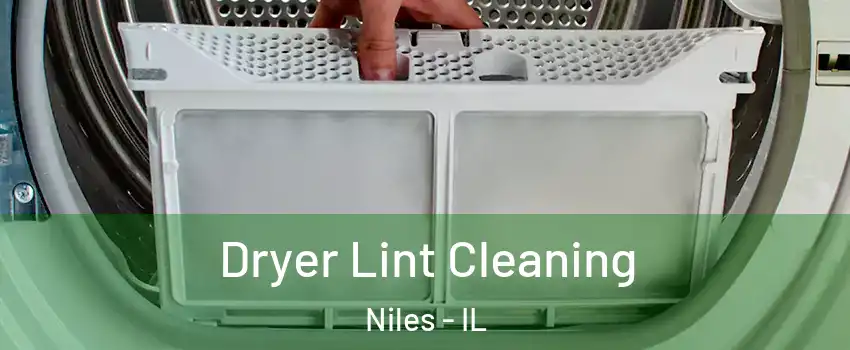  Dryer Lint Cleaning Niles - IL