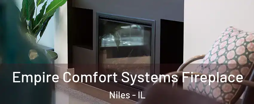  Empire Comfort Systems Fireplace Niles - IL