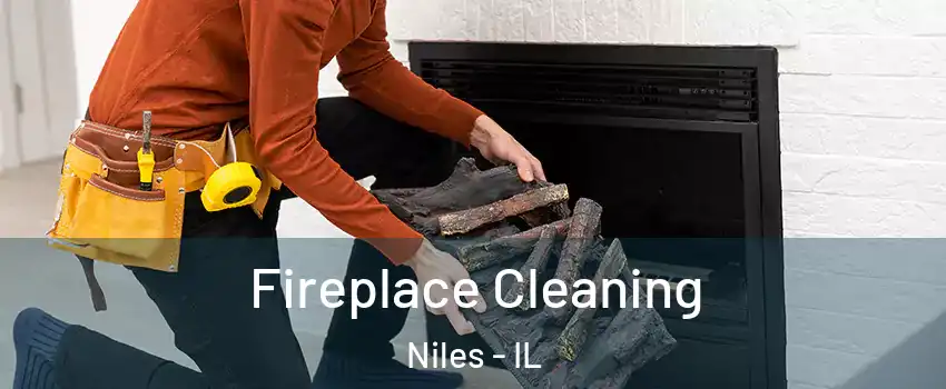  Fireplace Cleaning Niles - IL