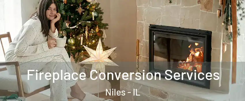 Fireplace Conversion Services Niles - IL