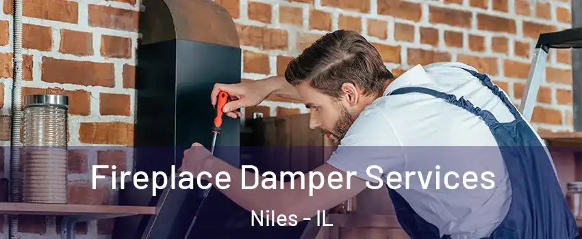  Fireplace Damper Services Niles - IL