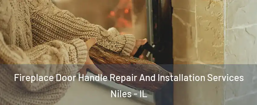  Fireplace Door Handle Repair And Installation Services Niles - IL