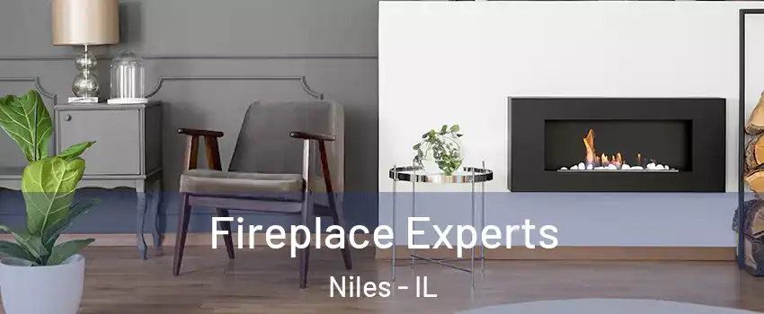  Fireplace Experts Niles - IL