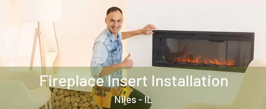  Fireplace Insert Installation Niles - IL