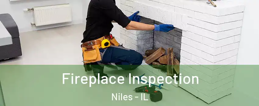  Fireplace Inspection Niles - IL