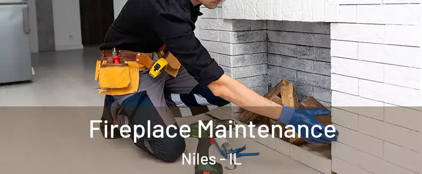  Fireplace Maintenance Niles - IL