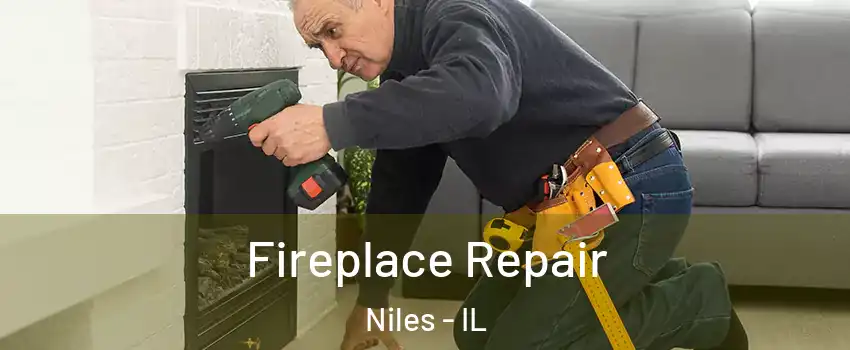  Fireplace Repair Niles - IL