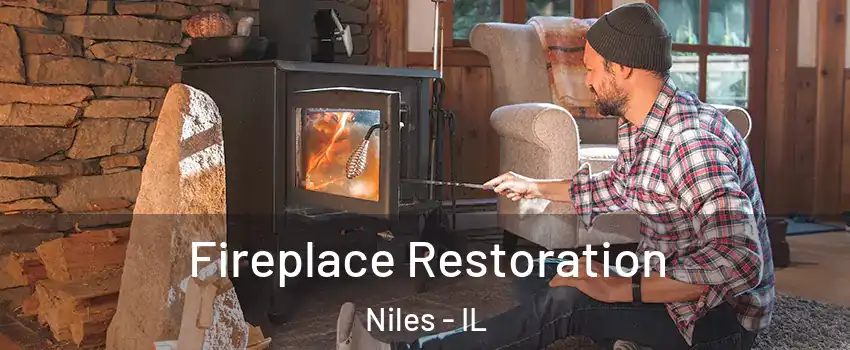  Fireplace Restoration Niles - IL