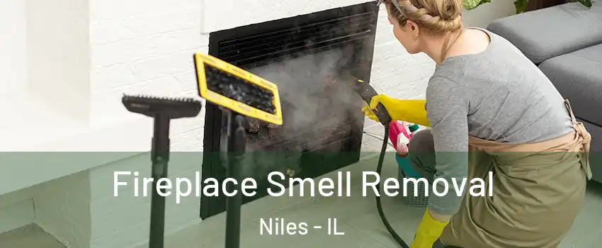  Fireplace Smell Removal Niles - IL