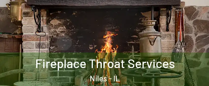  Fireplace Throat Services Niles - IL
