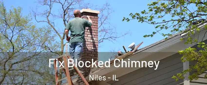  Fix Blocked Chimney Niles - IL