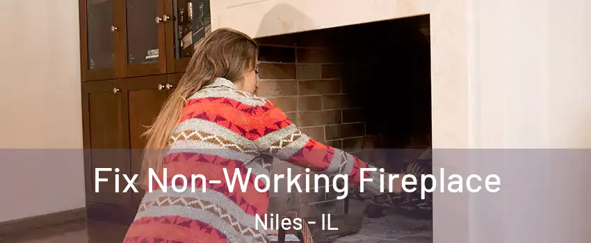  Fix Non-Working Fireplace Niles - IL