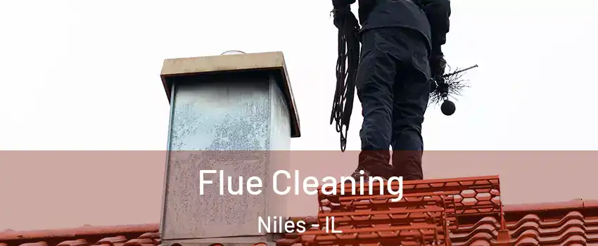  Flue Cleaning Niles - IL