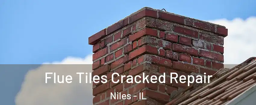  Flue Tiles Cracked Repair Niles - IL