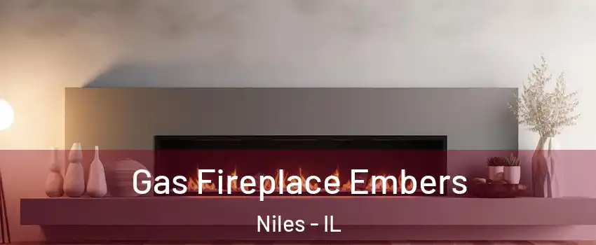  Gas Fireplace Embers Niles - IL