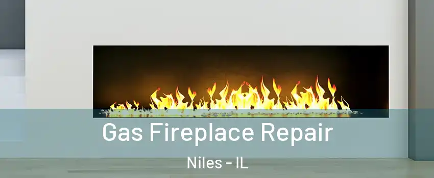  Gas Fireplace Repair Niles - IL