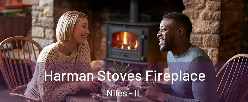  Harman Stoves Fireplace Niles - IL