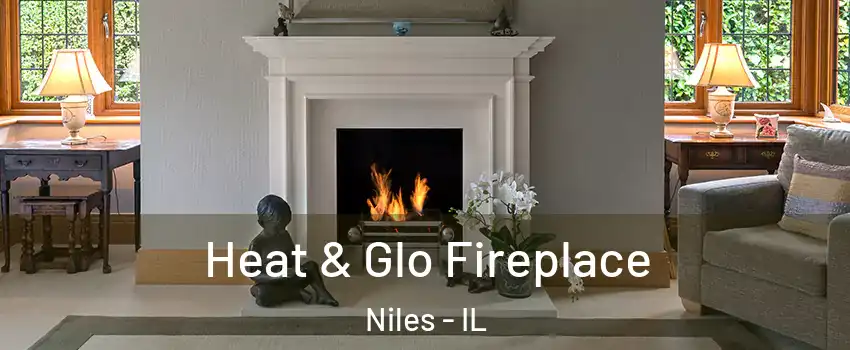  Heat & Glo Fireplace Niles - IL