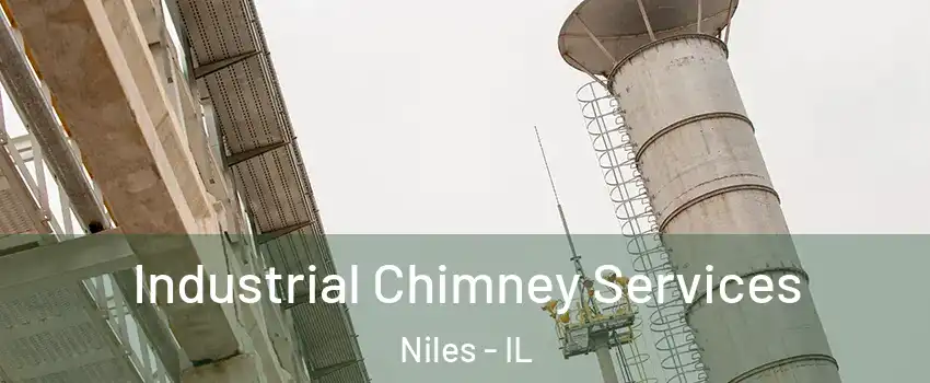  Industrial Chimney Services Niles - IL