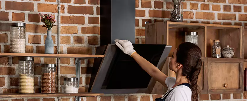 Chimney Installation in Niles, IL