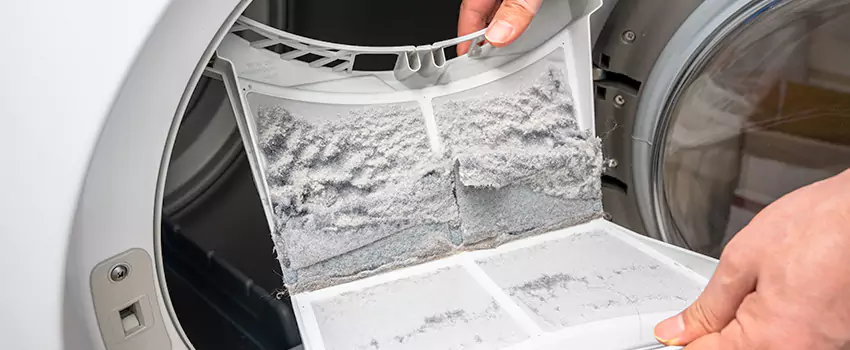 Best Dryer Lint Removal Company in Niles, Illinois